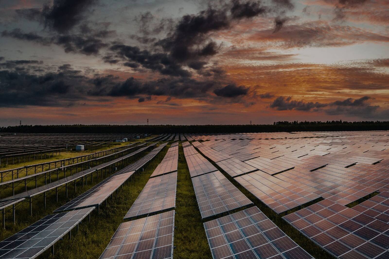 Paneles solares industriales limpios en Ibiza con sistema automatizado