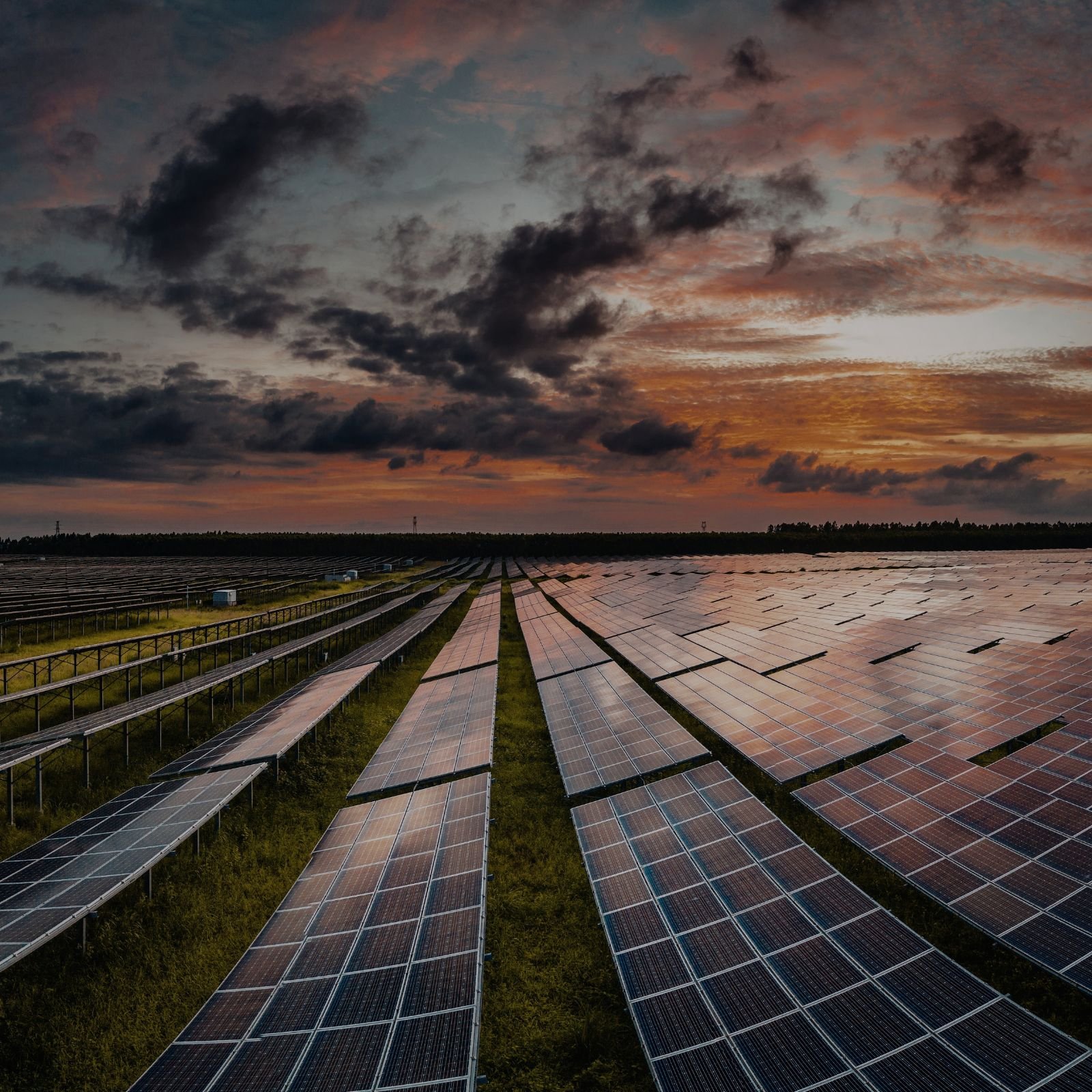 Paneles solares industriales limpios en Ibiza con sistema automatizado