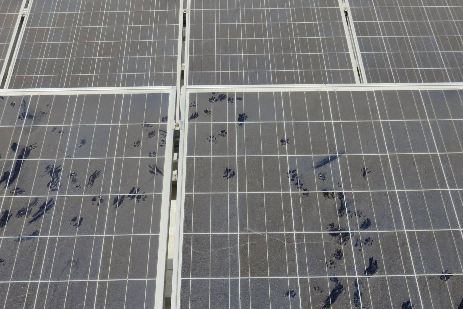 Tecnología solar automatizada en Baleares